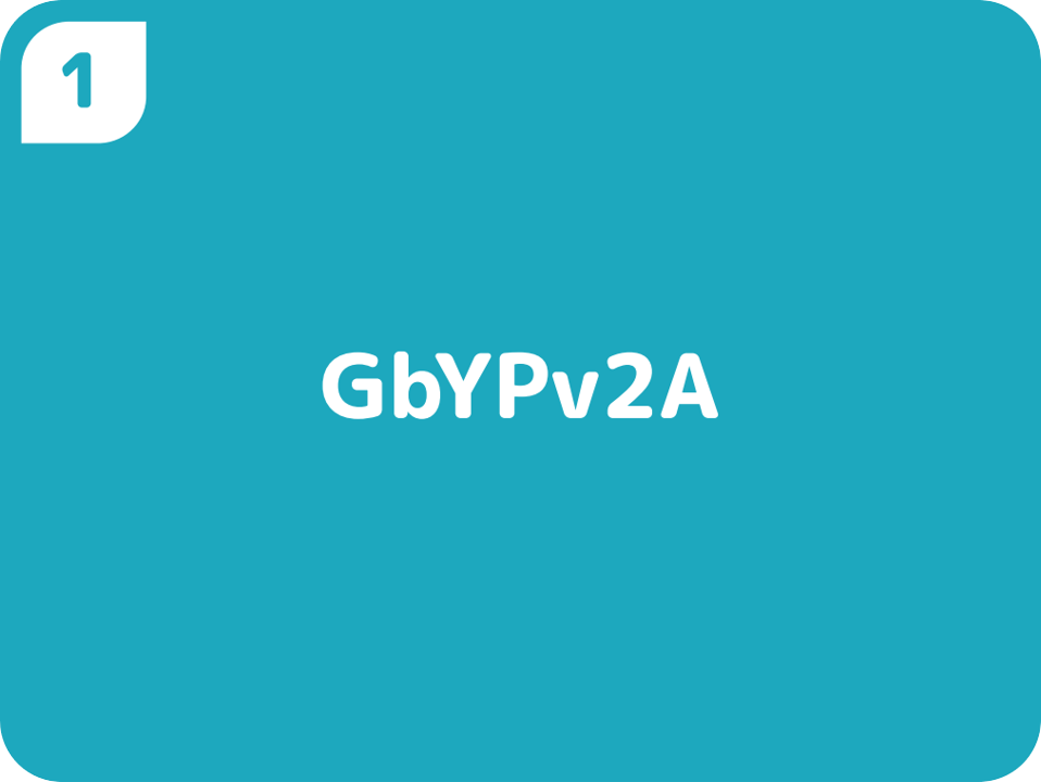 １GbYPv2A