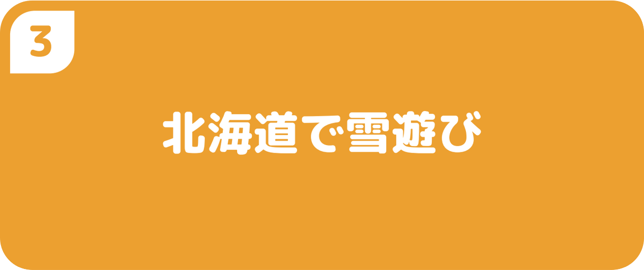 ３北海道で雪遊び